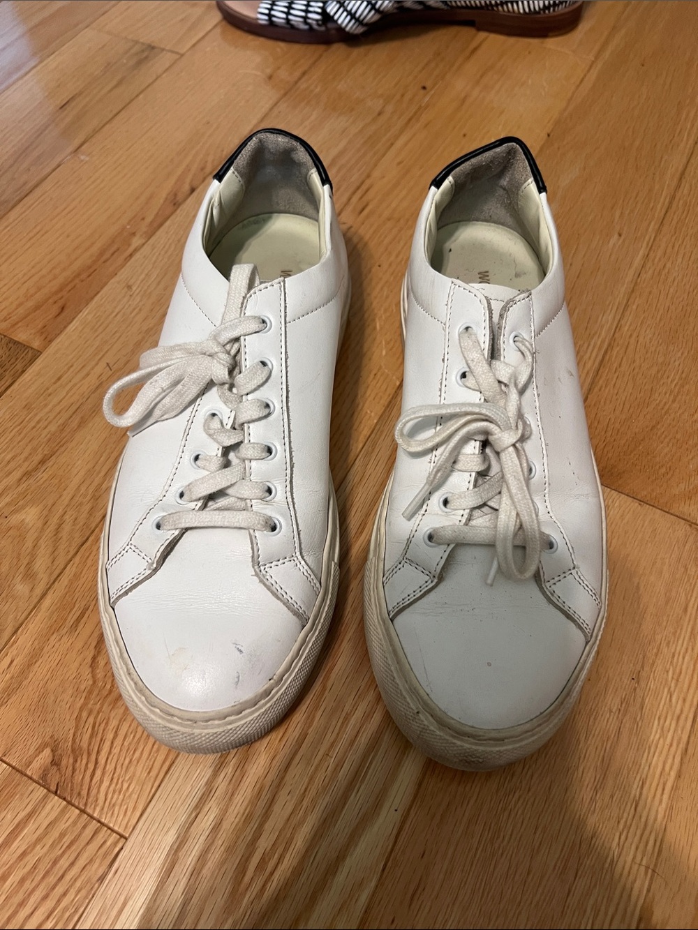 Common Projects White Leather Low-Top Sneakers with Black Heel Accent